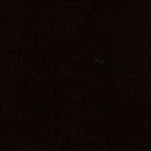 Meet your Posher, Gary